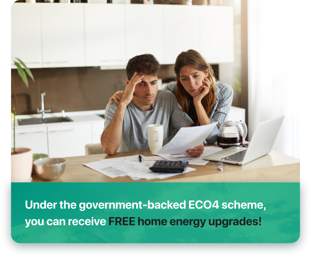 Government energy grants